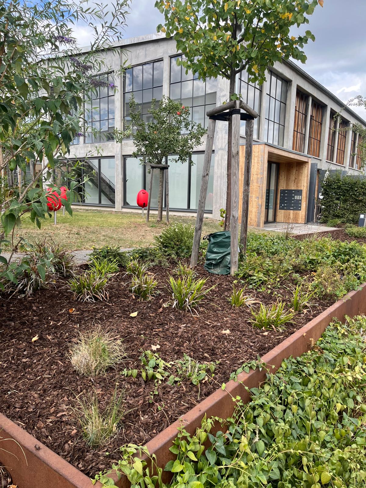 Fensterreinigung Landau - Hausmeisterservice