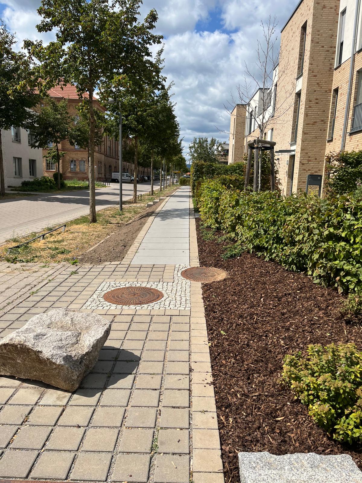 Professionelle Rasenpflege